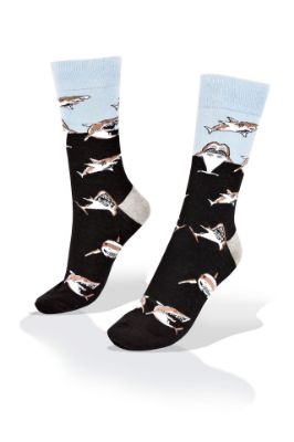 Picture of Shark on Sky and Under the Sea Pair  of Socks