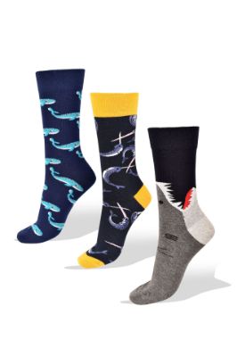 Picture of Whales, Swordsifh and Sharks 3 Pairs of Socks