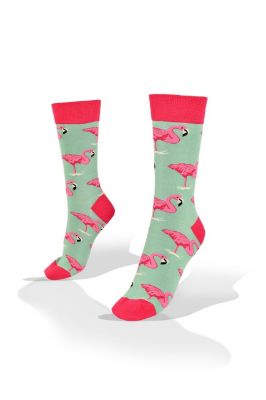 Picture of Flamingo on Green Socks