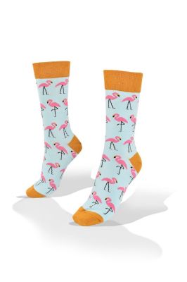 Picture of Flamingo on Blue Socks 