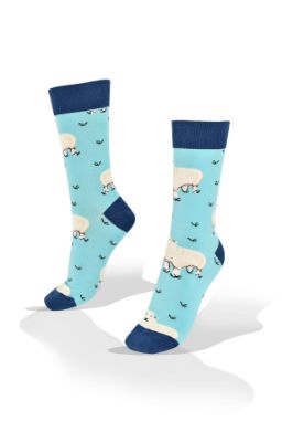 Picture of White Sheep on Blue Socks