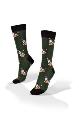 Picture of Pirate Dog on Green Socks