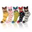 Picture of Owls Socks, Set of 5