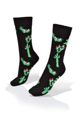 Picture of Cactus on Black Socks