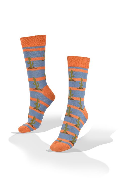 Picture of Cactus on Orange and Blue Stripes Socks