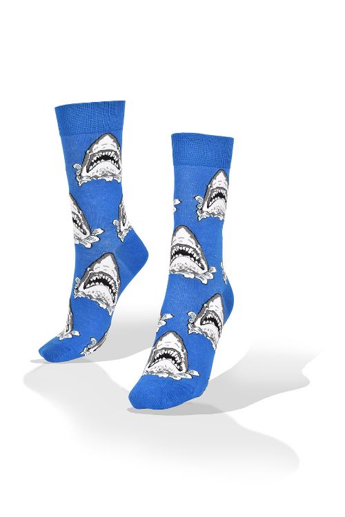 Picture of Sharks in Light Blue Water Socks