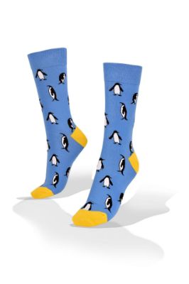 Picture of Penguins on Blue with Yellow Socks