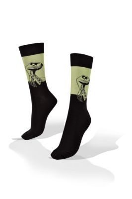 Picture of Dinosaur Socks