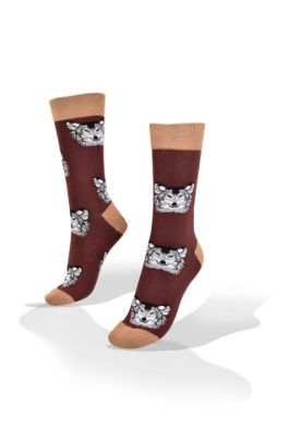 Picture of Huskies Dogs on Brown Socks