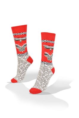 Picture of Butterfly and Dragonfly on Red and Gray Socks