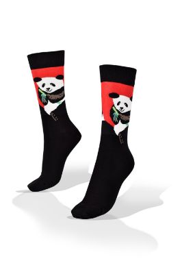 Picture of Panda Bear with Bamboo on Red and Black Socks