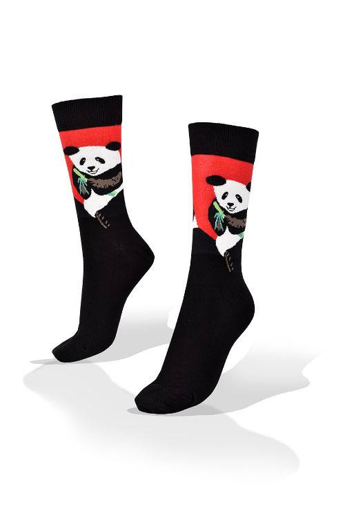 Picture of Panda Bear with Bamboo on Red and Black Socks