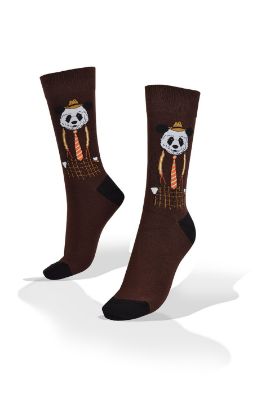 Picture of Panda Bear with Hat on Brown Socks