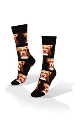 Picture of Brown Dog Face on Black Socks