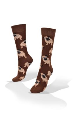 Picture of Pug Dogs on Brown Socks