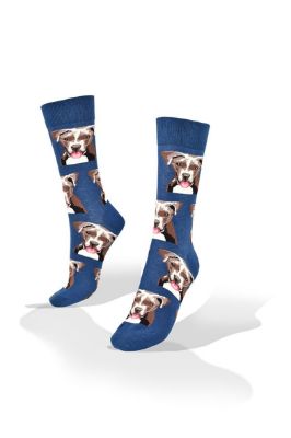 Picture of Rhodesian Dog on Blue Socks