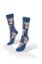 Picture of Rhodesian Dog on Blue Socks