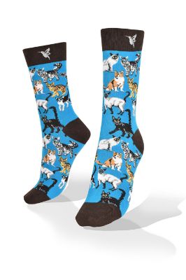 Picture of Cats on Blue Exclusive Aves del Plata™ Design Socks 