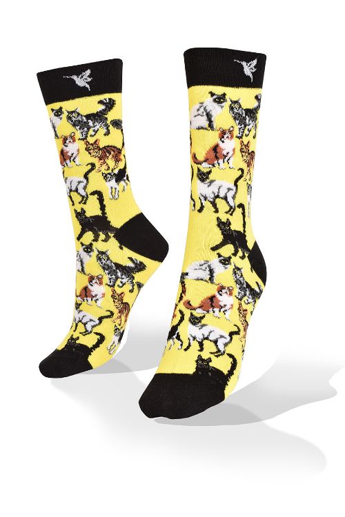 Picture of Cats on Yellow Exclusive Aves del Plata™ Design Socks