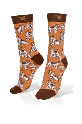 Picture of Fox Terrier on Brown Exclusive Socks
