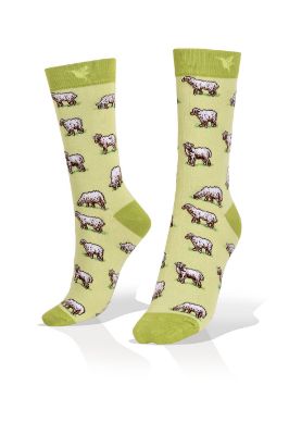 Picture of Mini Sheep on Light Green Exclusive Socks