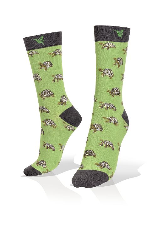 Picture of Mini Turtles on Light Green Exclusive Socks
