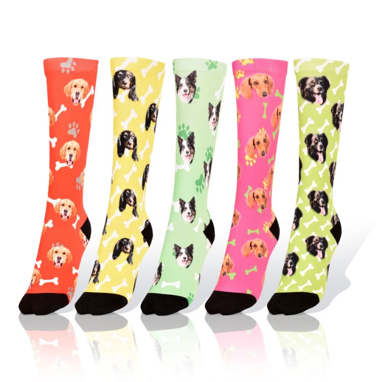 Picture of Set of 5 Dogs Socks