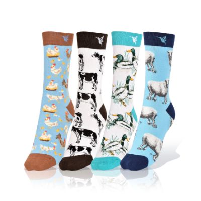 Picture of Farm Animals, Set of 4 Socks